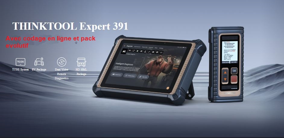 valise diagnostic thinkcar thinktool 391